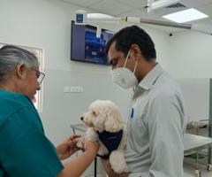 Veterinary Clinic in Delhi| CGS Hospital