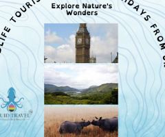 Wildlife Tourism Package Holidays from UK - Explore Nature's Wonders