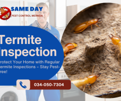 Effective Termite Control & Pest Removal in Mernda – Protect Your Property Today