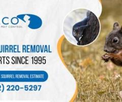 Pest Removal in North NJ – ALCO Animal & Pest Control