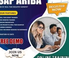 The SAP Ariba Online Training | SAP Ariba Training Course in Hyderabad
