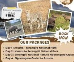 Safari & Beach Bliss – Your Zanzibar Honeymoon Awaits!