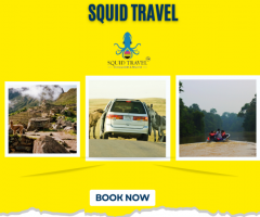 wildlife tour packages in india | Squid Travel