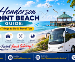 Henderson Point Beach Guide: Top Things to Do & Travel Tips