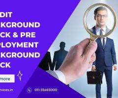 What Shows Up On a Credit Background Check in 2025?