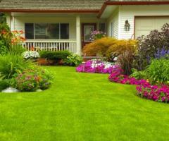 Transform Your Urban Space with Expert Garden Design in County Durham