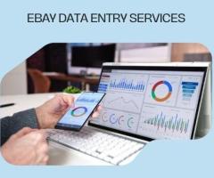 eBay Data Entry Services for Optimized Product Listings