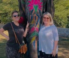 Elephant Sanctuary | Elephant Ride | Elephant Safari | Jaipur