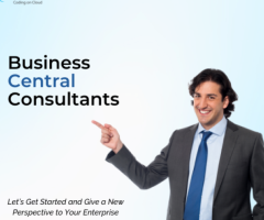 Optimize, Automate, Succeed – Expert Business Central Consultants!