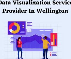 Data Visualization Service Provider In Wellington