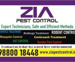 Zia Pest control | Rat Lizard pest control | Upto 25% Off for Restaurent | 6095