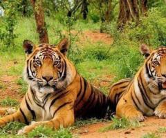 Rajasthan Wildlife Tour | Shakta Travels