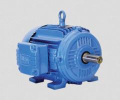 TEFC Squirrel Cage Motor Manufacturer - Shrirang Energy Efficient