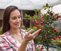 Enhance Fruit Development with Global BioAg Innovations