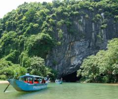 Discover the Best African Safari Tour Companies