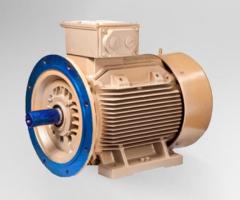 Top-Quality Bharat Bijlee Motors - Shrirang Energy Efficient
