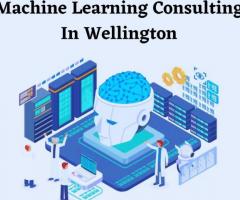 Machine Learning Consulting In Wellington