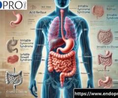 Effective Solutions for Chronic Gastrointestinal Disorders Relief