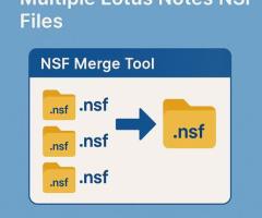 NSF Merge Tool for Combining Multiple NSF Files into One