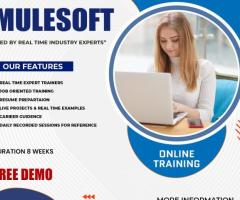 MuleSoft Course Online | MuleSoft Course in Ameerpet