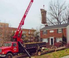 Tree Removal Service in NJ – Safe, Affordable, & Fully Insured