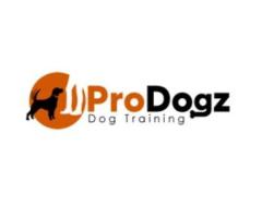Prodogz LLC