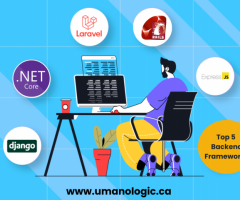 Expert Web Development in Edmonton with Umano Logic - 1