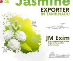 Jasmine Exporter in Tamilnadu