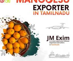 Mangoes Exporter in Tamilnadu