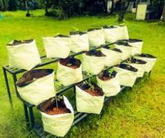 Why We Need A Grow Bags For Terrace Garden