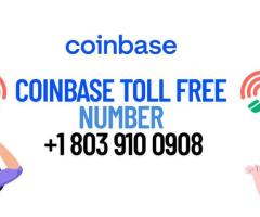 Don’t Wait! How to Get Fast Solutions with Coinbase Toll Free Number