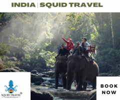 Best Wildlife Tours In India | Squid Travel