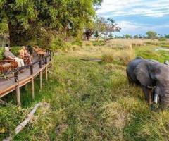 Unforgettable Safaris in Mombasa