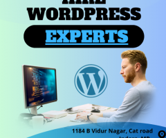 Hire WordPress Developers | WordPress Expert