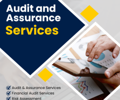 Best Audit and Assurance Services