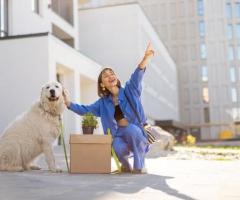 Reliable Seattle Pet Shipper – Dog Gone Taxi