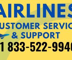 Ways to Call Expedia Customer Service USA Via Phone: Step-by-Step Guide