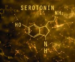 Does High Serotonin Reduce Anxiety?