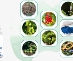 Sumatra Slim Belly Tonic : [TOP 5 Reasons!] Why We're Your Best Choice?