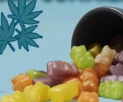 Bliss Harmony Gummies CBD