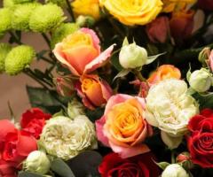 Roses Lebanon