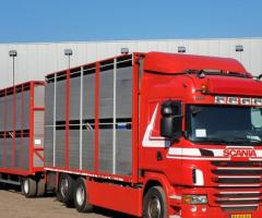 Scania G420 6X2