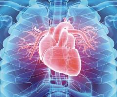 Understand Normal & Dangerous Pulse Rate: Cardiac Disease | Medanta