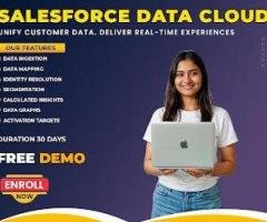 Salesforce Data Cloud Training | Salesforce Data Cloud Course