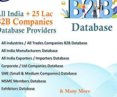B2B Database Provider Company in India