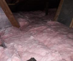 What’s Lurking in Your Attic? Clean It Right!