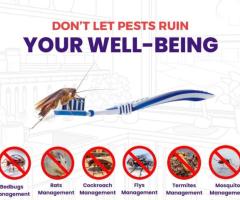 Best Rodent Removal Solutions in Kurnool