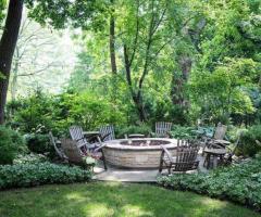 Privacy Trees Glenview