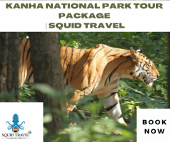 Kanha National Park Tour Package | Squid Travel