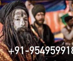 Get My Ex Back By Astrologer Specialties Baba Ji
